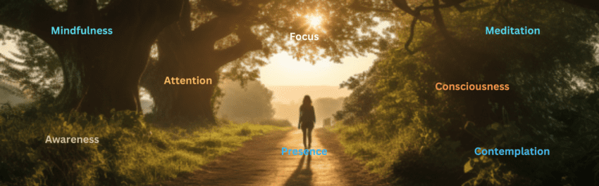 MINDFULNESS